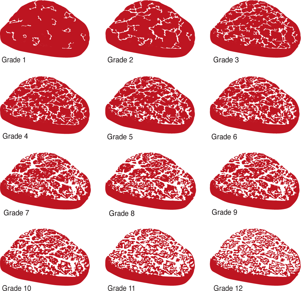 Beef Marbling Chart